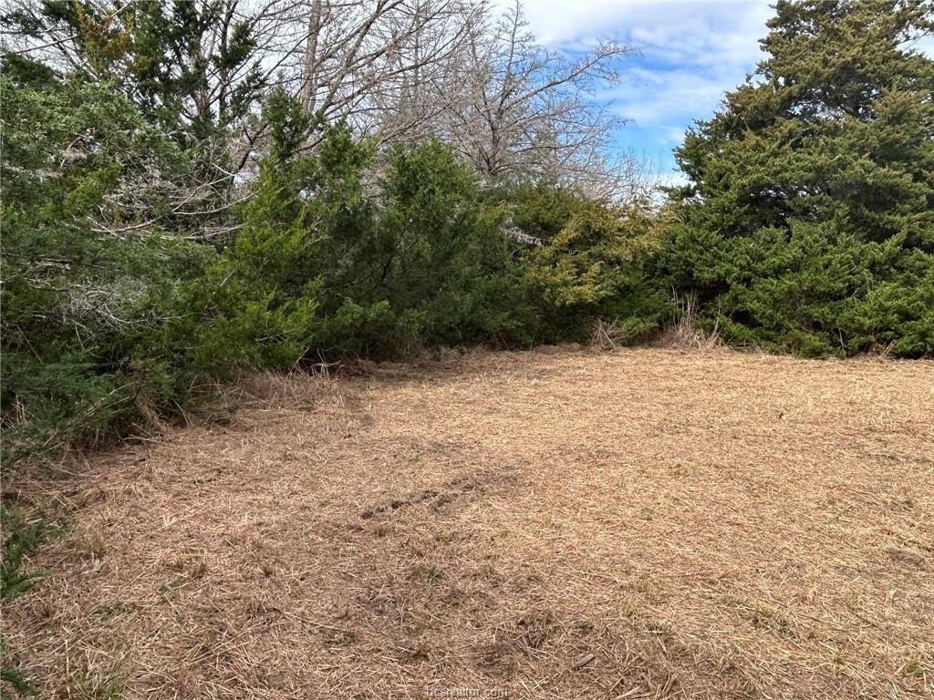TBD Deer Run County Road, College Station, TX 77845