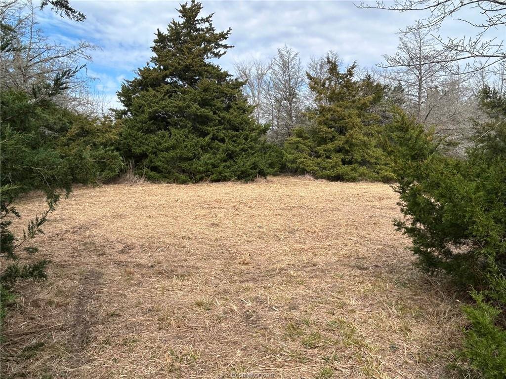 TBD Deer Run County Road, College Station, TX 77845