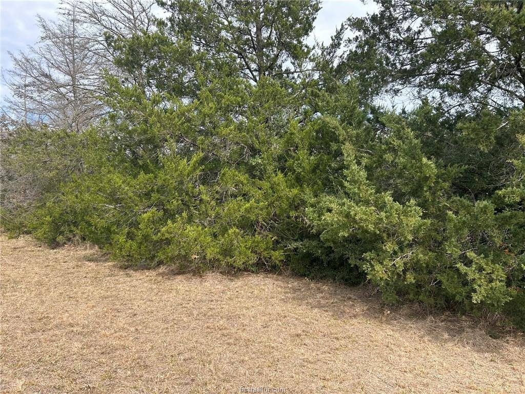 TBD Deer Run County Road, College Station, TX 77845