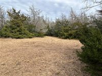 TBD Deer Run County Road, College Station, TX 77845