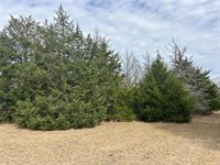 TBD Deer Run County Road, College Station, TX 77845