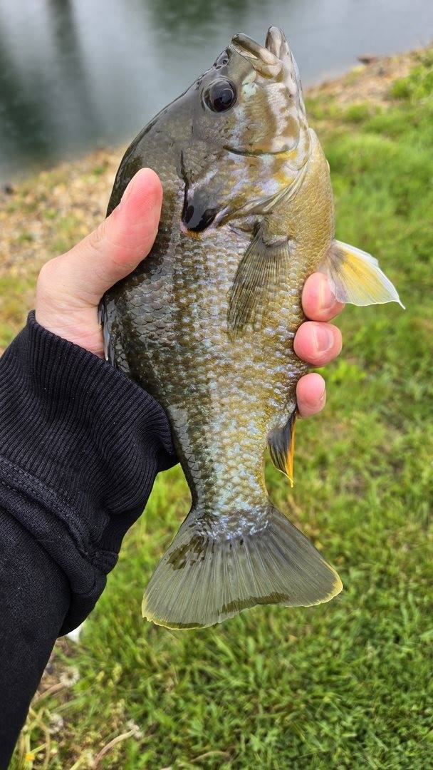 3197 South Baileyville Road, Freeport, IL 61032