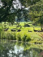 3197 South Baileyville Road, Freeport, IL 61032