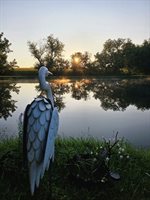 3197 South Baileyville Road, Freeport, IL 61032