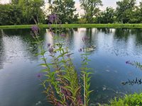 3197 South Baileyville Road, Freeport, IL 61032