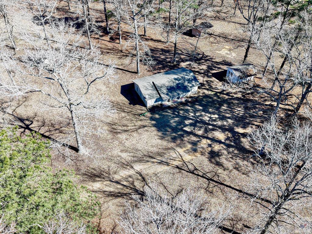 179 Lafayette 293, Lewisville, AR 71845