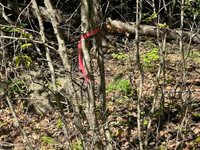 Lot #3 Bonnie Way, Winterport, ME 04496