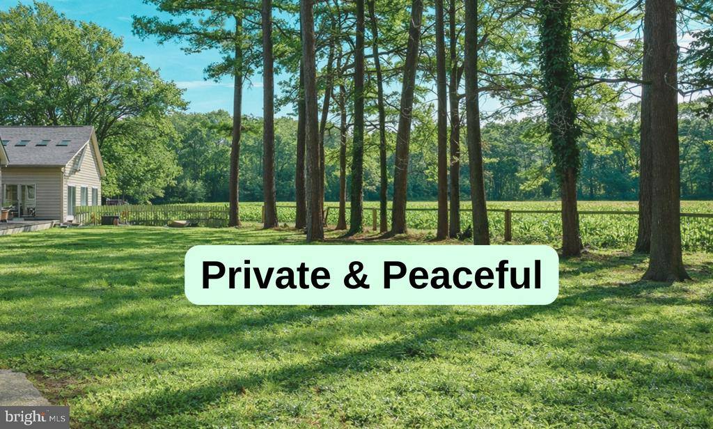 6 Cinderberry Court, Georgetown, DE 19947