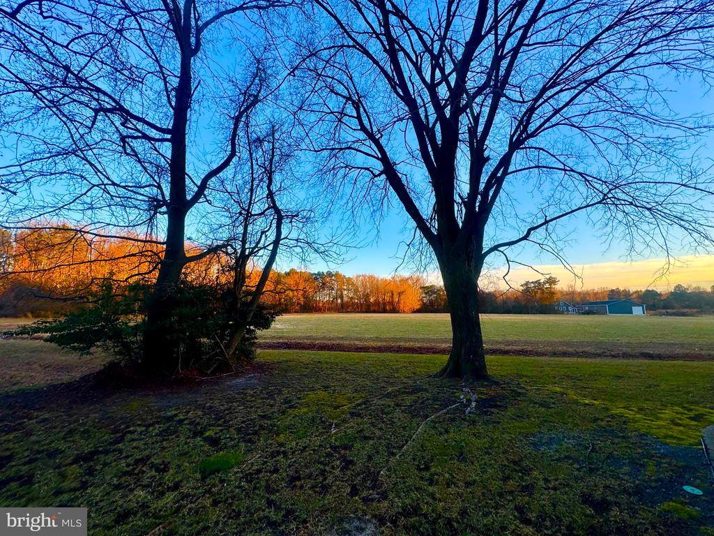 6 Cinderberry Court, Georgetown, DE 19947