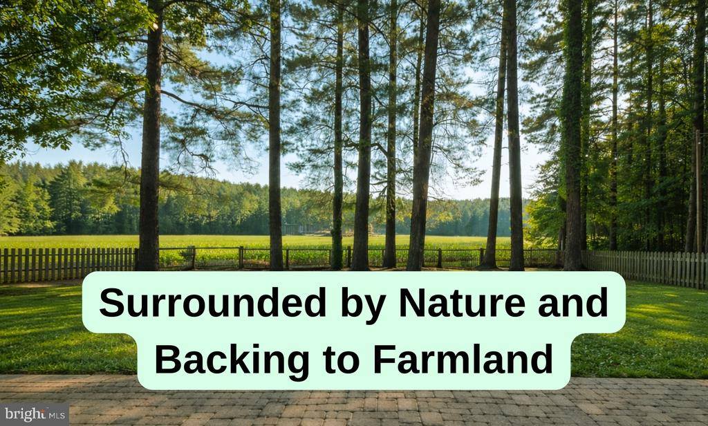 6 Cinderberry Court, Georgetown, DE 19947