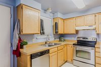 229 Glenvista Dr., Springs Creek, NV 89815