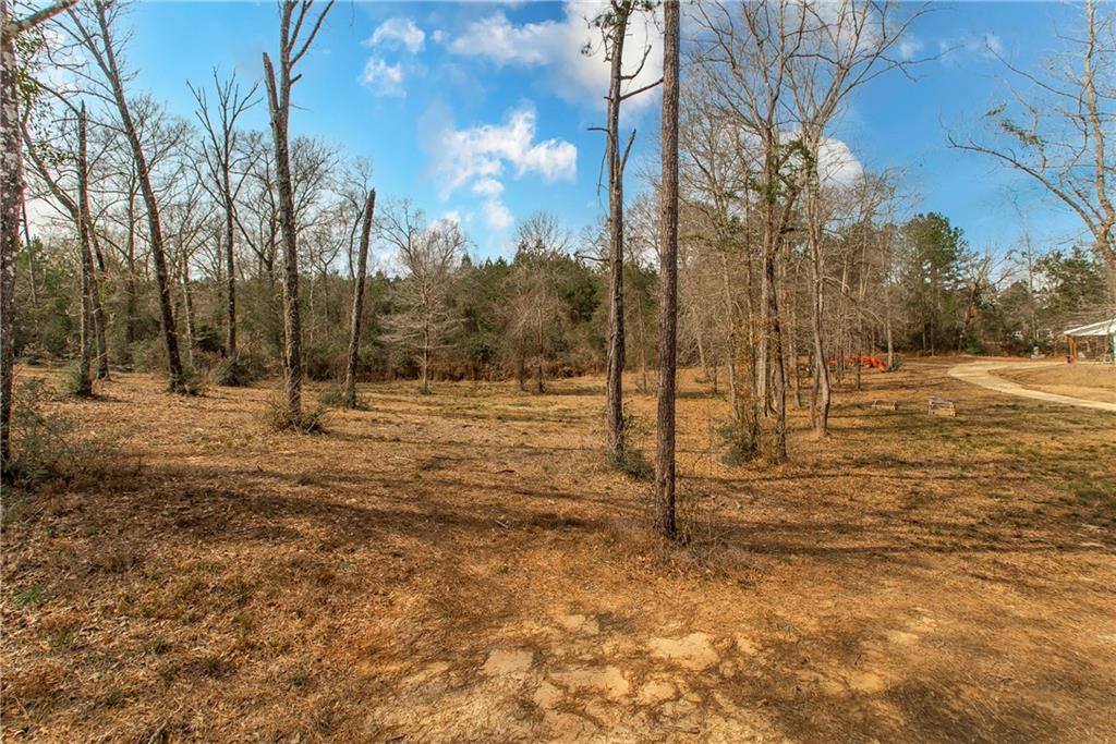 25451 Melanie Circle, Amite, LA 70422