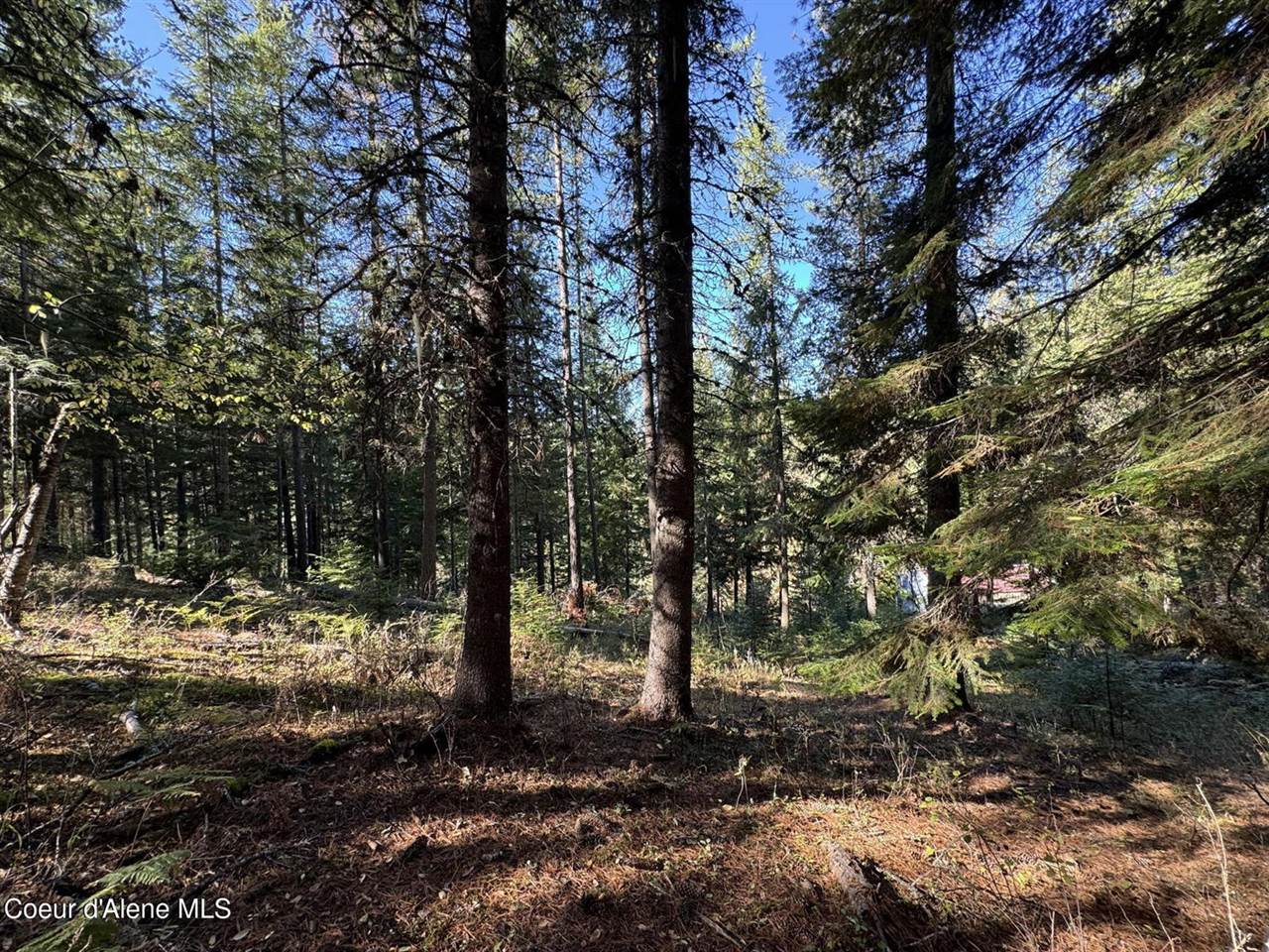 94 Lochsa Ln, Kingston, ID 83839