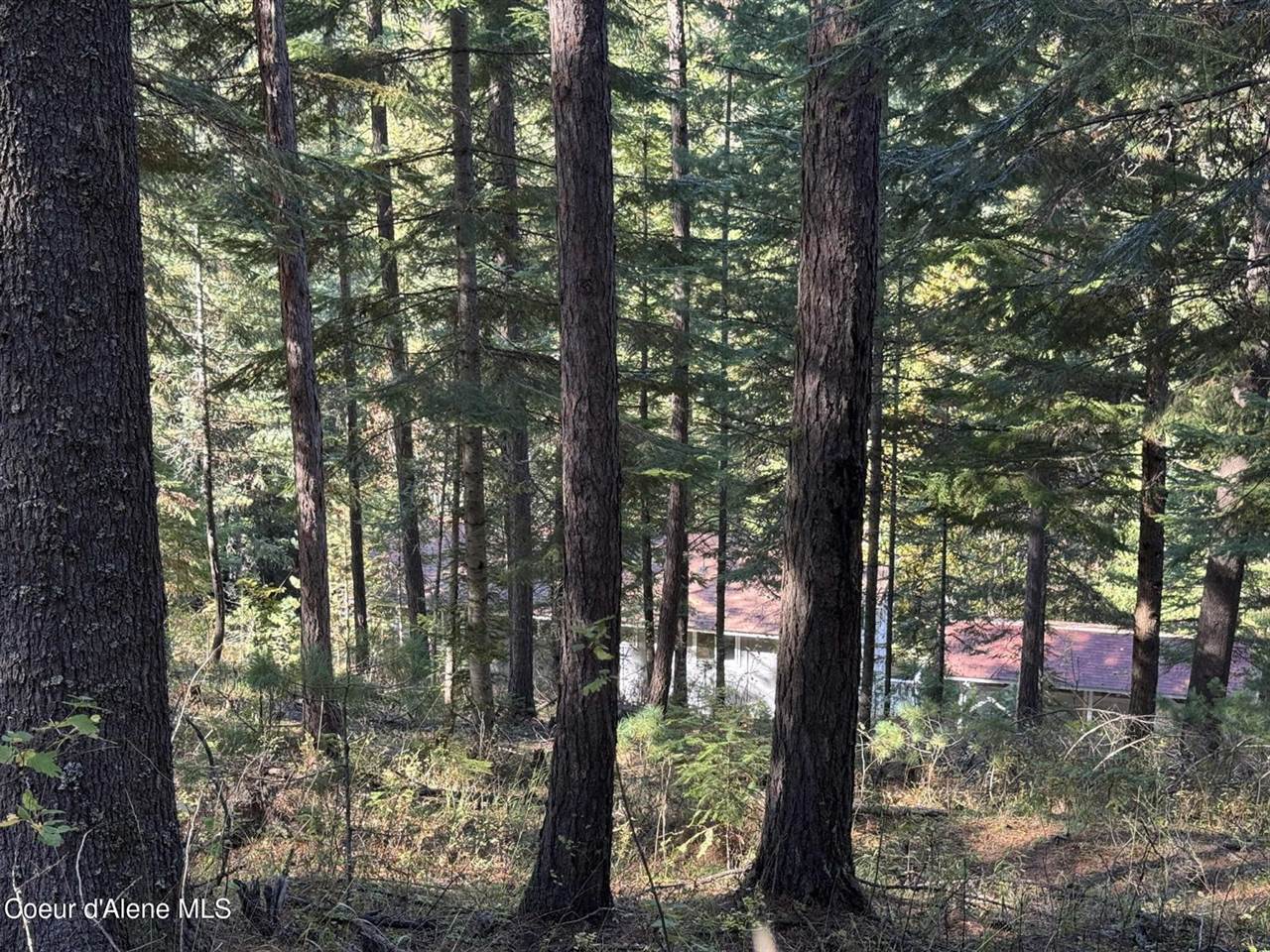 94 Lochsa Ln, Kingston, ID 83839