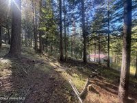 94 Lochsa Ln, Kingston, ID 83839