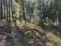 94 Lochsa Ln, Kingston, ID 83839
