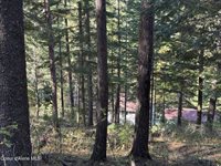 94 Lochsa Ln, Kingston, ID 83839