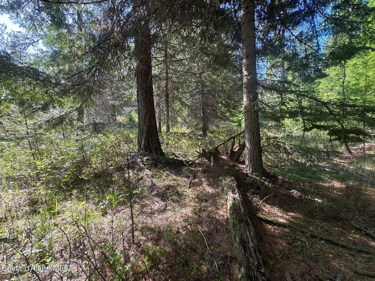 NKA Backroads Way Lot 2, Priest River, ID 83856