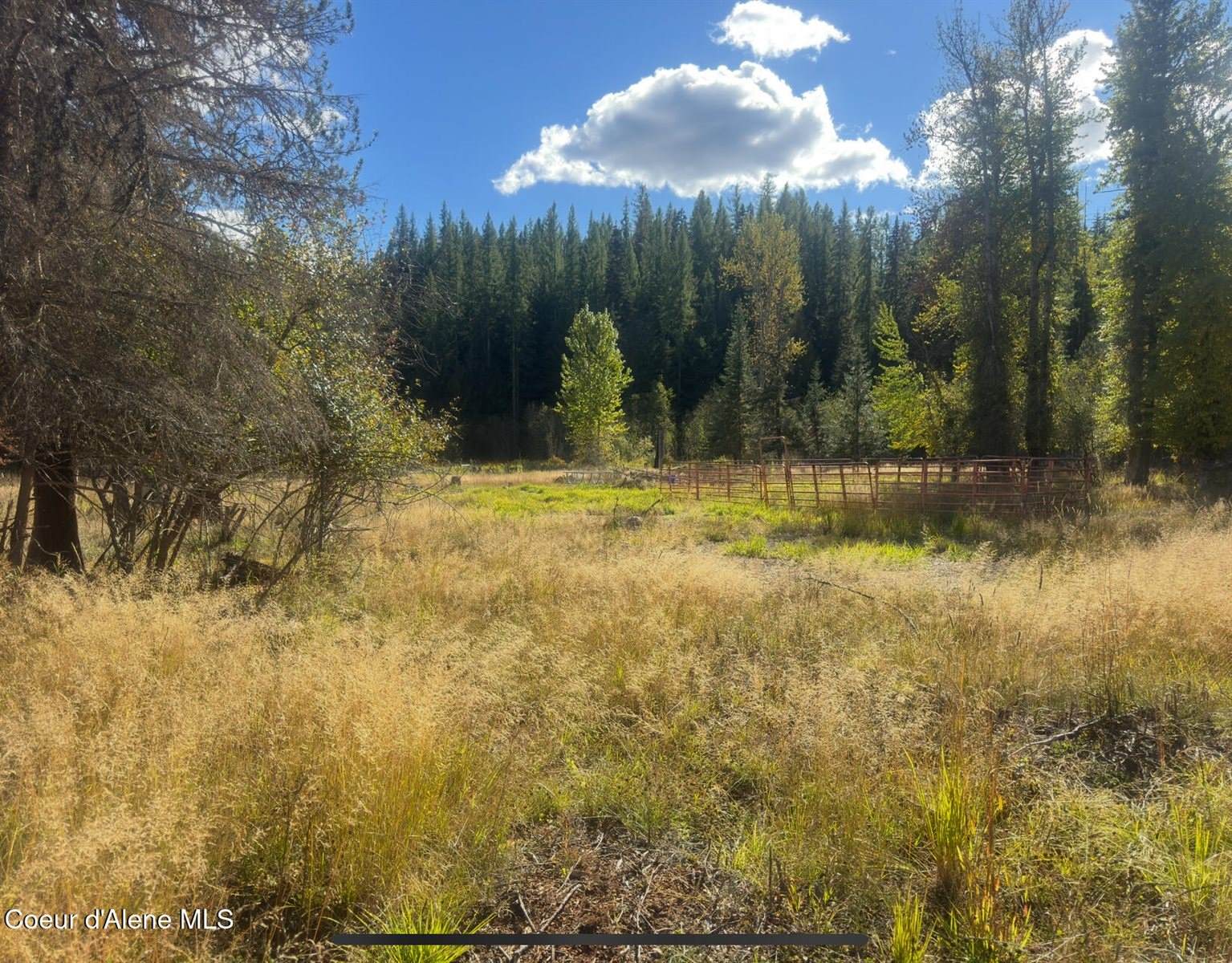 NNA Tanglewood Drive, Priest River, ID 83856