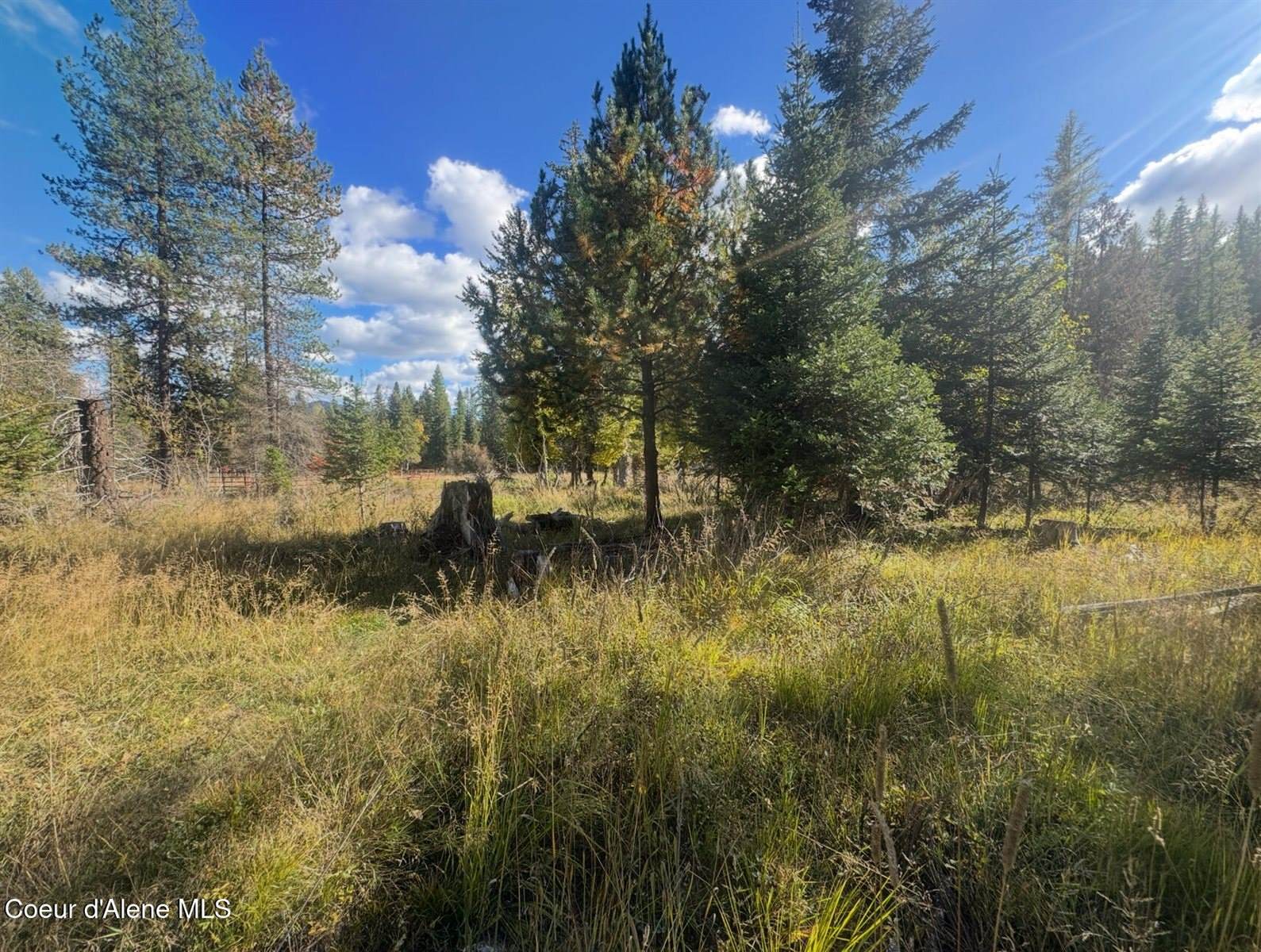 NNA Tanglewood Drive, Priest River, ID 83856