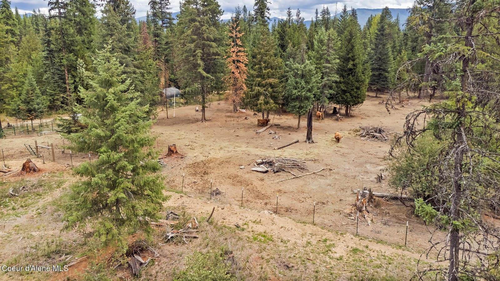 NNA Tanglewood Drive, Priest River, ID 83856