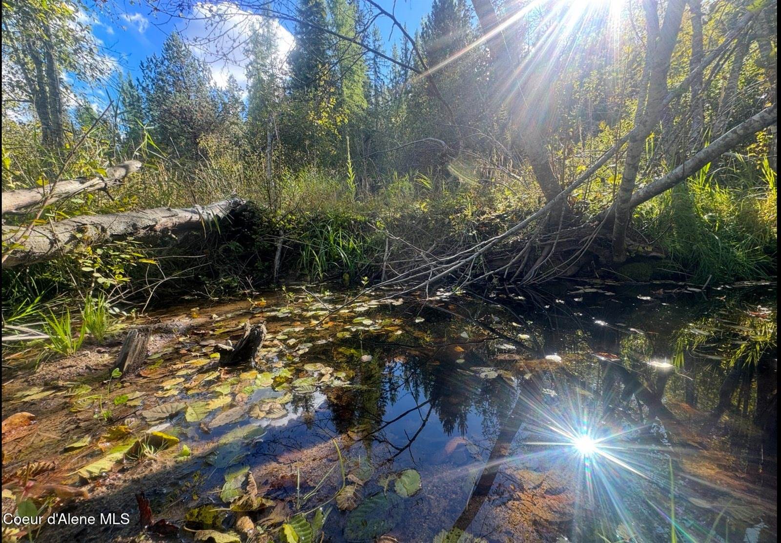 NNA Tanglewood Drive, Priest River, ID 83856