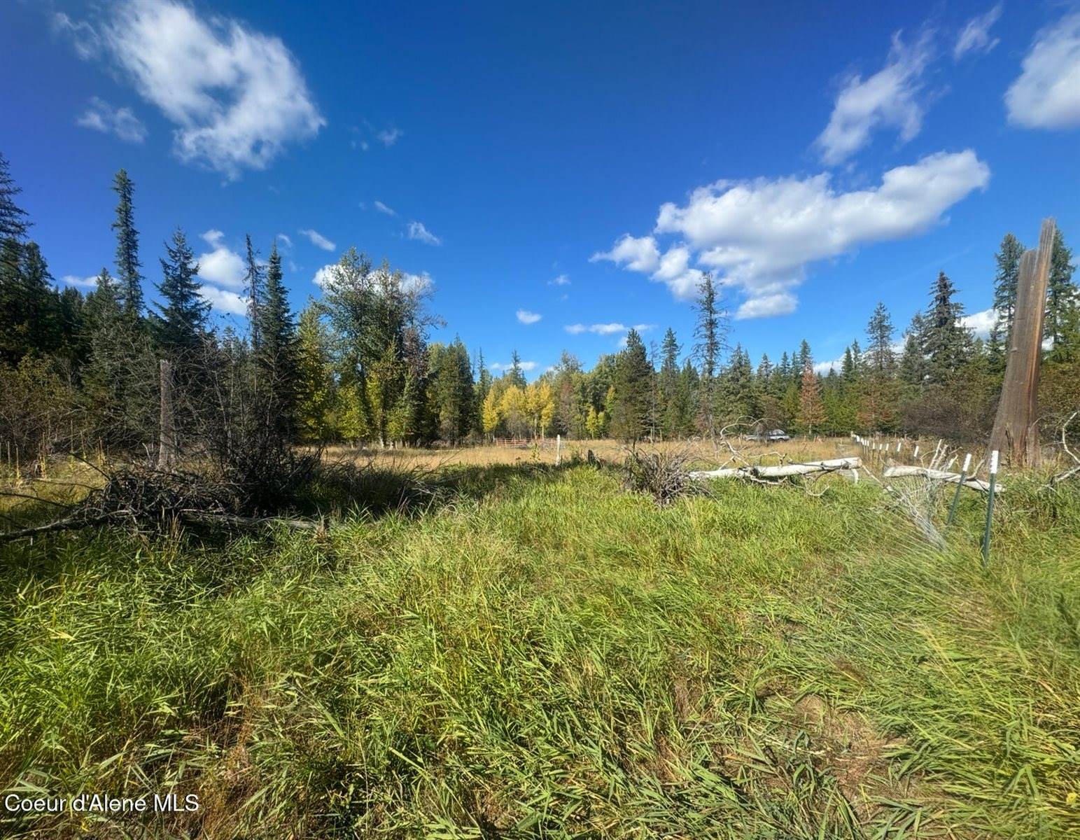 NNA Tanglewood Drive, Priest River, ID 83856