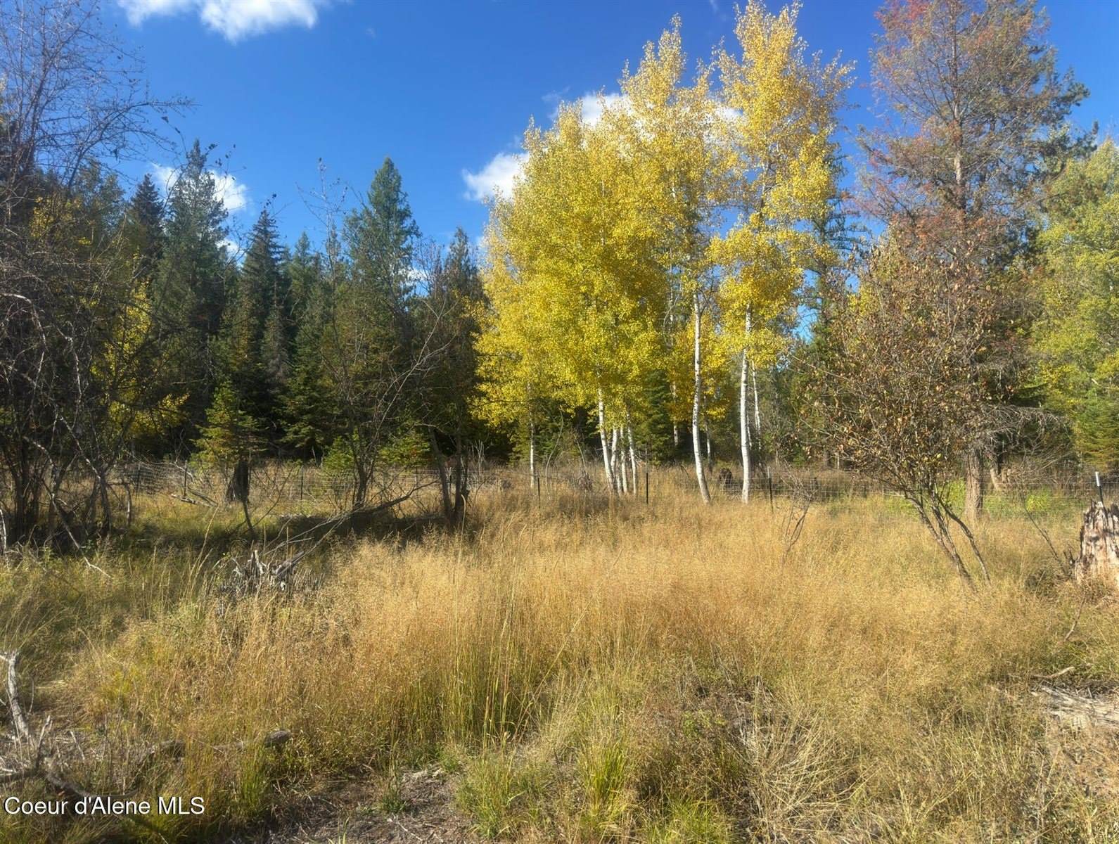 NNA Tanglewood Drive, Priest River, ID 83856