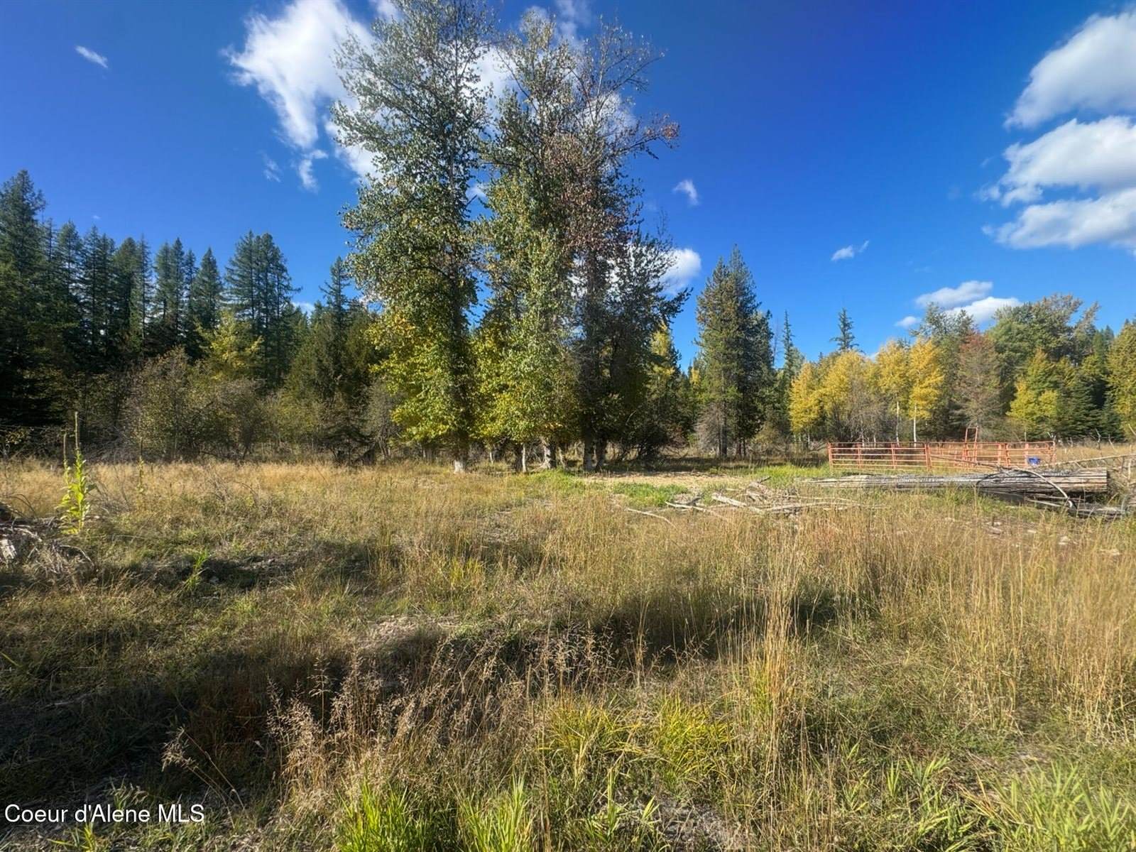 NNA Tanglewood Drive, Priest River, ID 83856