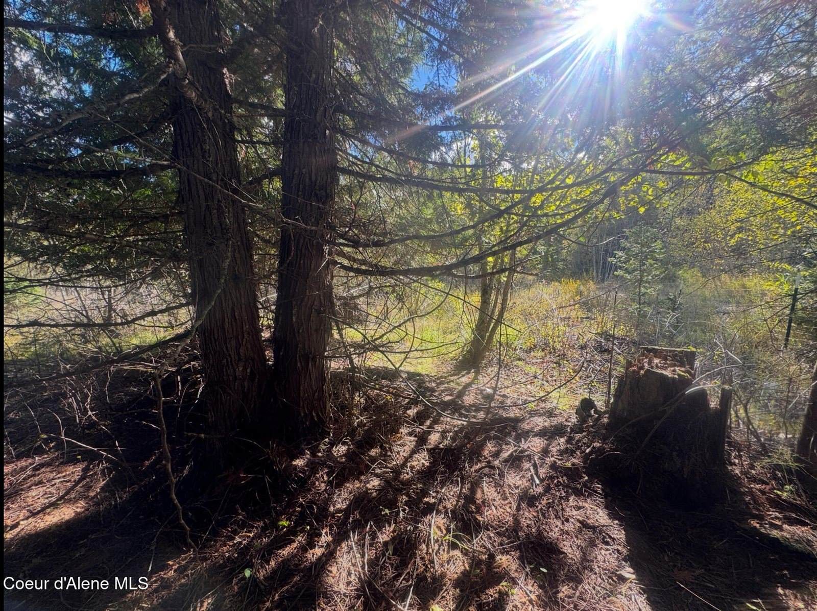 NNA Tanglewood Drive, Priest River, ID 83856