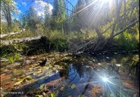 NNA Tanglewood Drive, Priest River, ID 83856