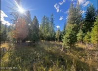 NNA Tanglewood Drive, Priest River, ID 83856