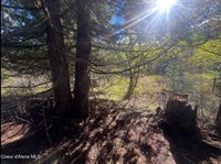 NNA Tanglewood Drive, Priest River, ID 83856