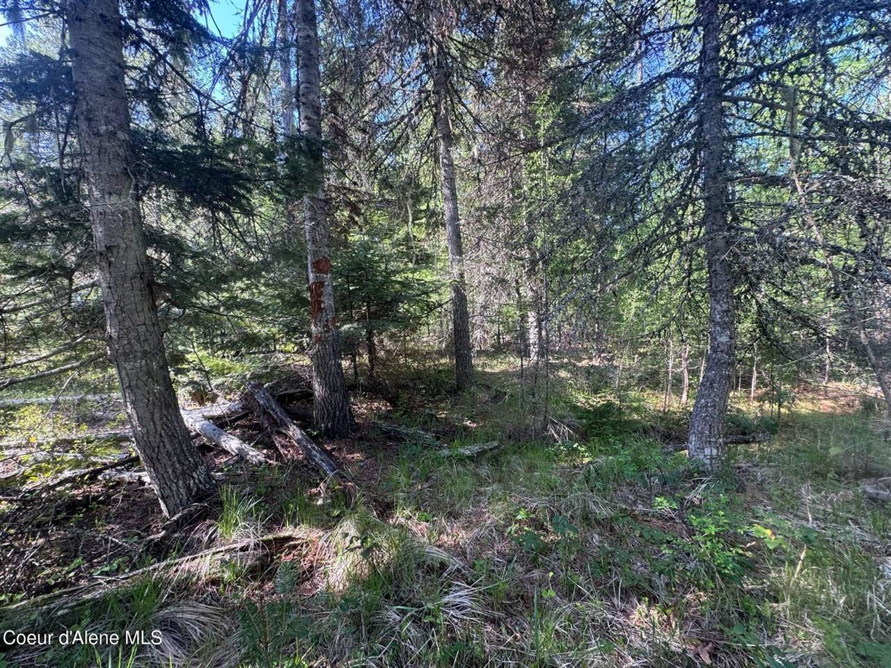 NNA Backroads Way Lot 3, Priest River, ID 83856
