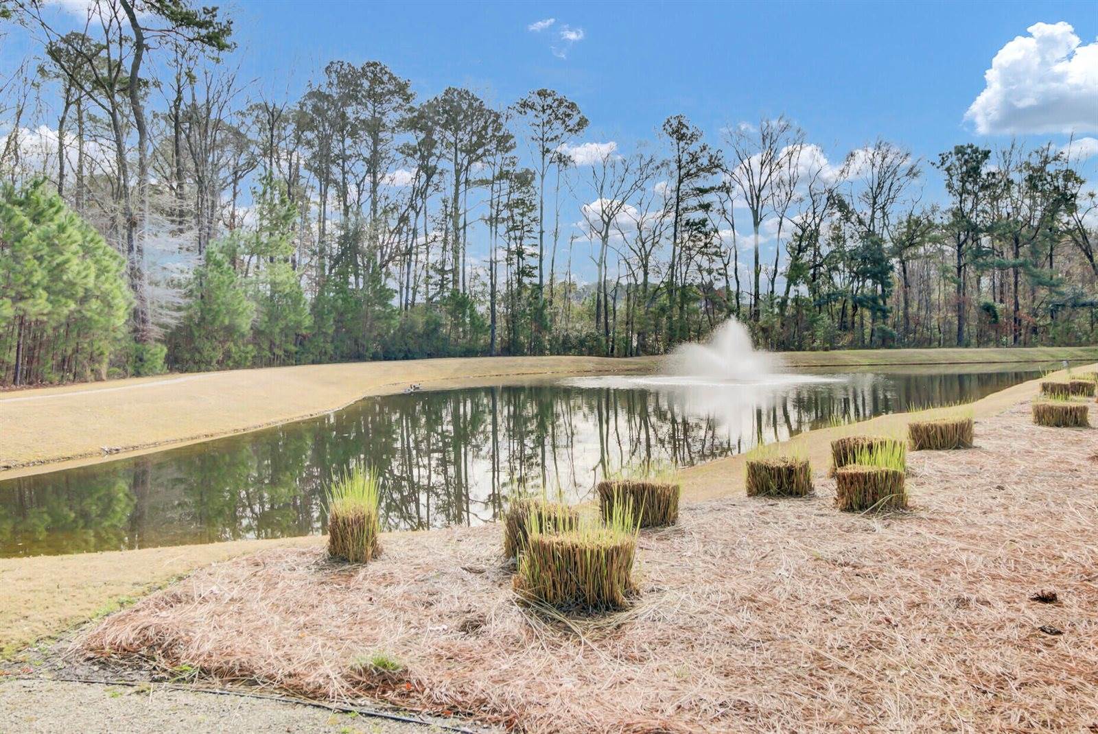 2011 Barn Swallow Road, Summerville, SC 29483