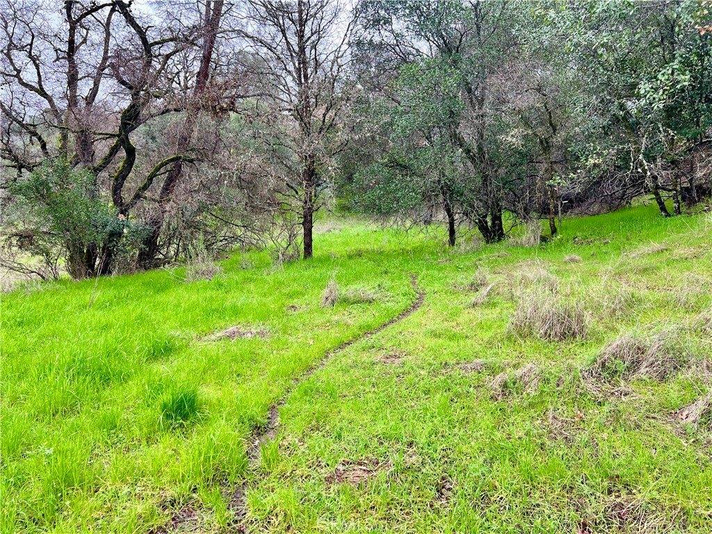 6590 Hotel Road, Lucerne, CA 95458