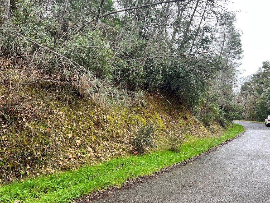 7022 Black Oak Street, Nice, CA 95464