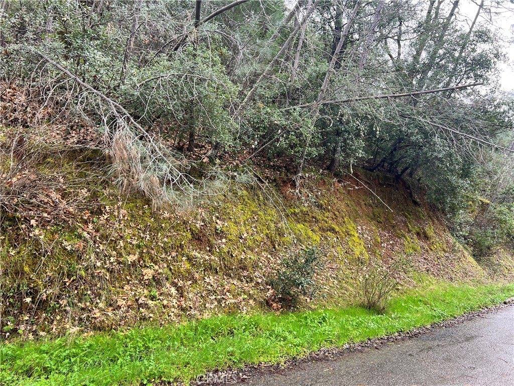 7022 Black Oak Street, Nice, CA 95464