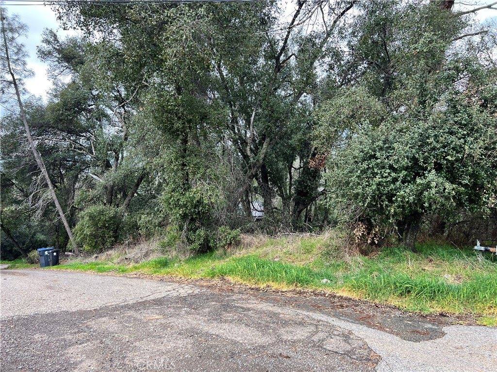 7166 Butte Court, Nice, CA 95464