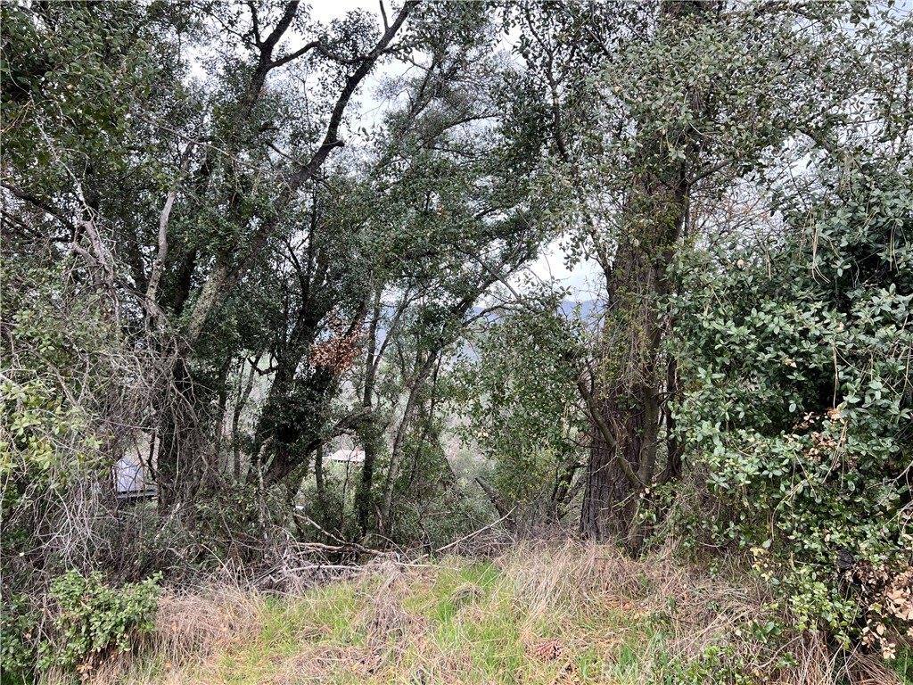 7166 Butte Court, Nice, CA 95464