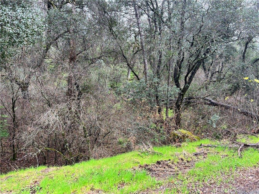 12215 Mountain View Drive, Clearlake Oaks, CA 95423