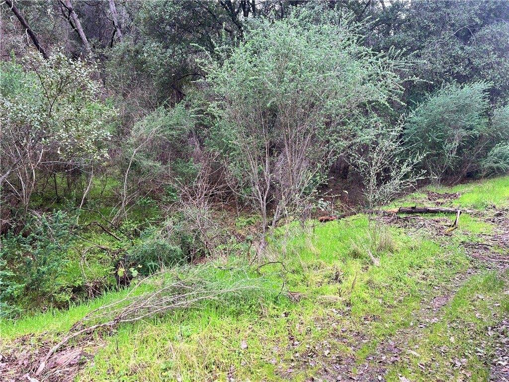 12215 Mountain View Drive, Clearlake Oaks, CA 95423