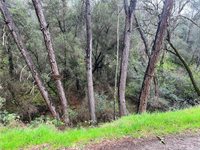 12215 Mountain View Drive, Clearlake Oaks, CA 95423