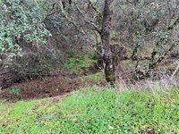 12215 Mountain View Drive, Clearlake Oaks, CA 95423