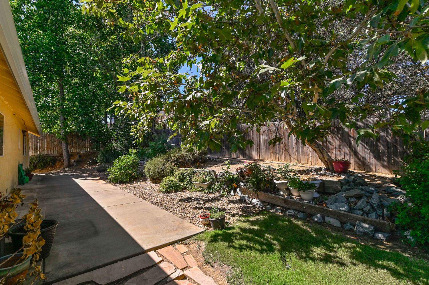 735 Live Oak Drive, Angels Camp, CA 95222