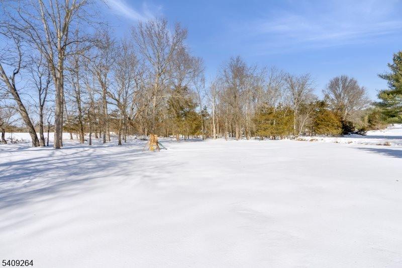 305 Raymond Ct, Bridgewater Township, NJ 08807