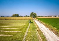 1449 Highway 50, Delta, CO 81416