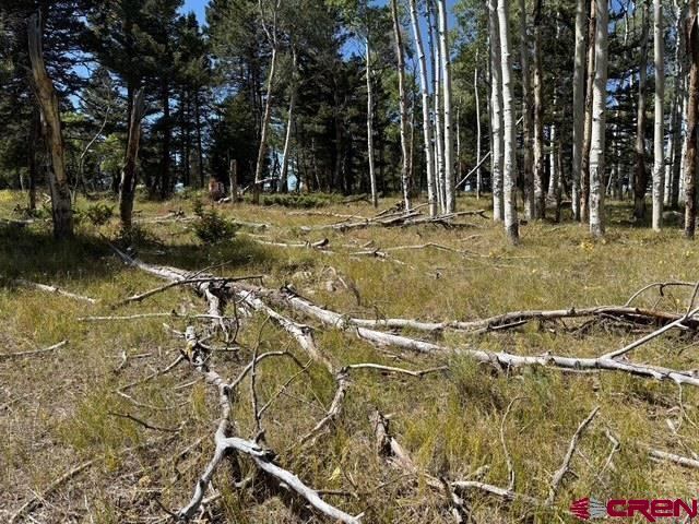 121 Ridge Road, Cimarron, CO 81220