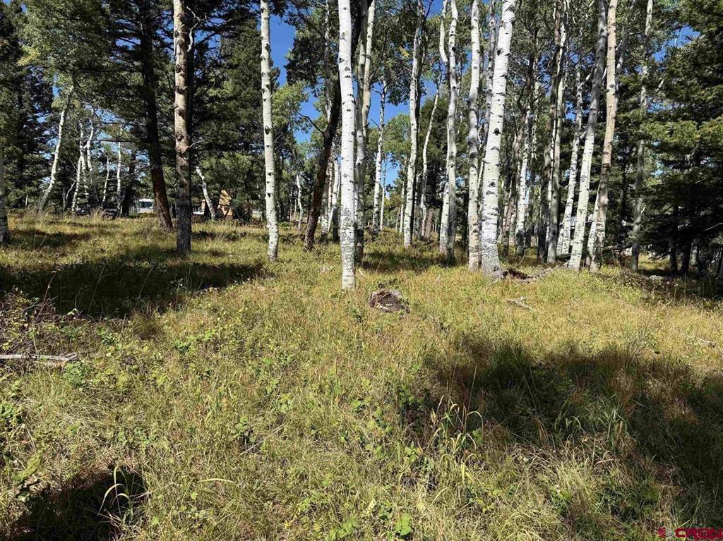 121 Ridge Road, Cimarron, CO 81220