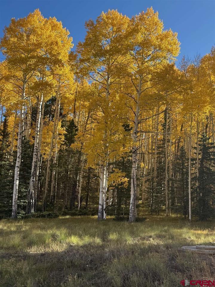 121 Ridge Road, Cimarron, CO 81220